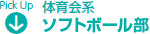 体育会系　ソフトボール部